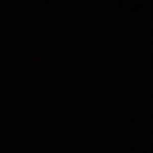 Meet your Posher, Jesse